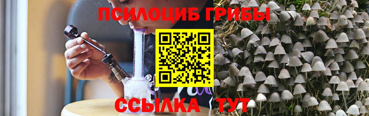 Дивногорск  Галлюциногенные грибы Psilocybine cubensis  Псилоцибиновые грибы MAGIC MUSHROOMS  Вход с VPN 